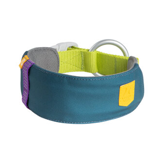 Woolly Wolf - Alpha 360 Collar Deep Teal Mix