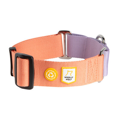 Woolly Wolf - Color Block Martingale Halsband Salmon Pink Mix